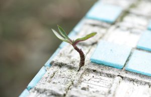 Sustainable biochar based functional concrete materials