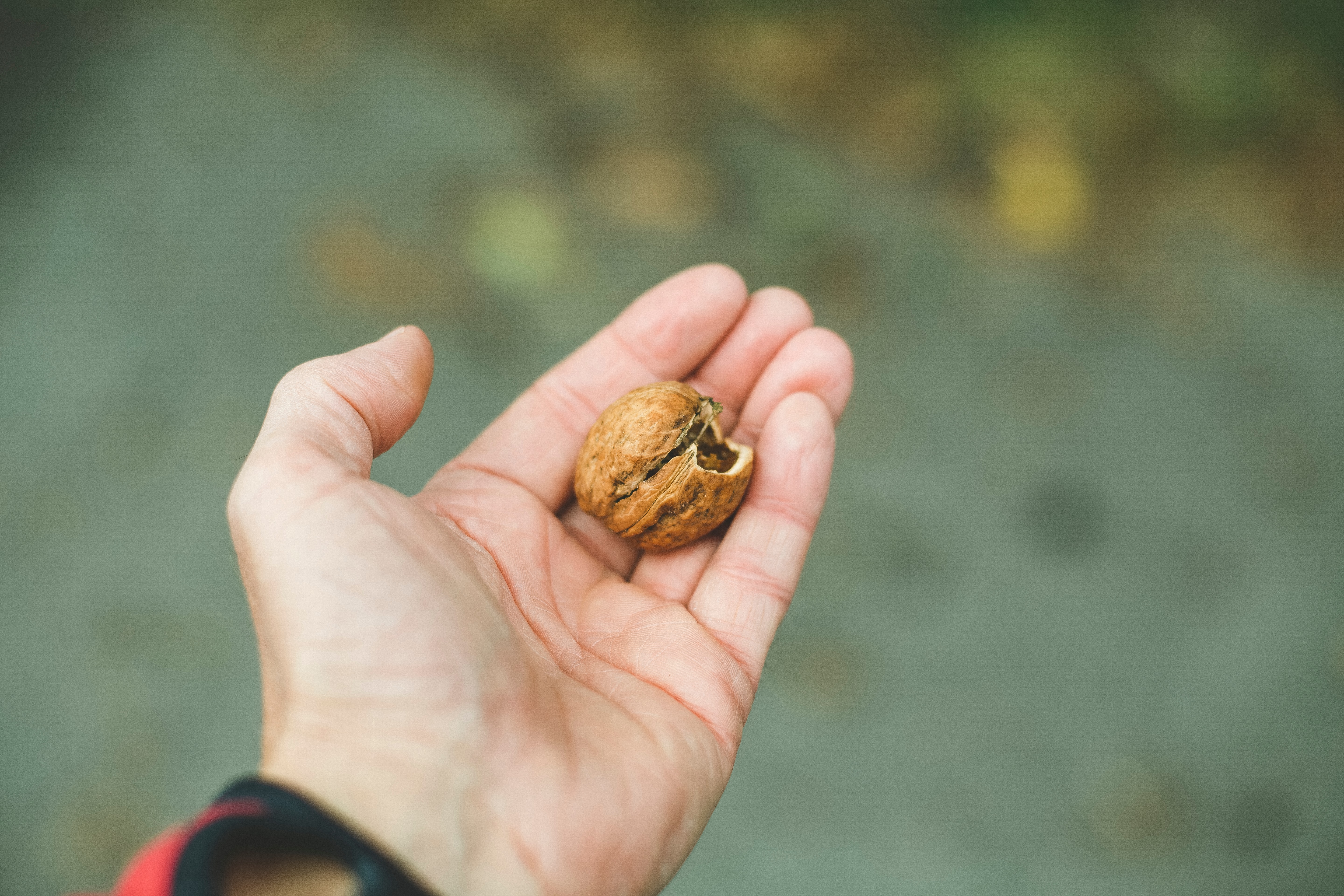 markus-spiske-cf2EE8O2I5k-unsplash